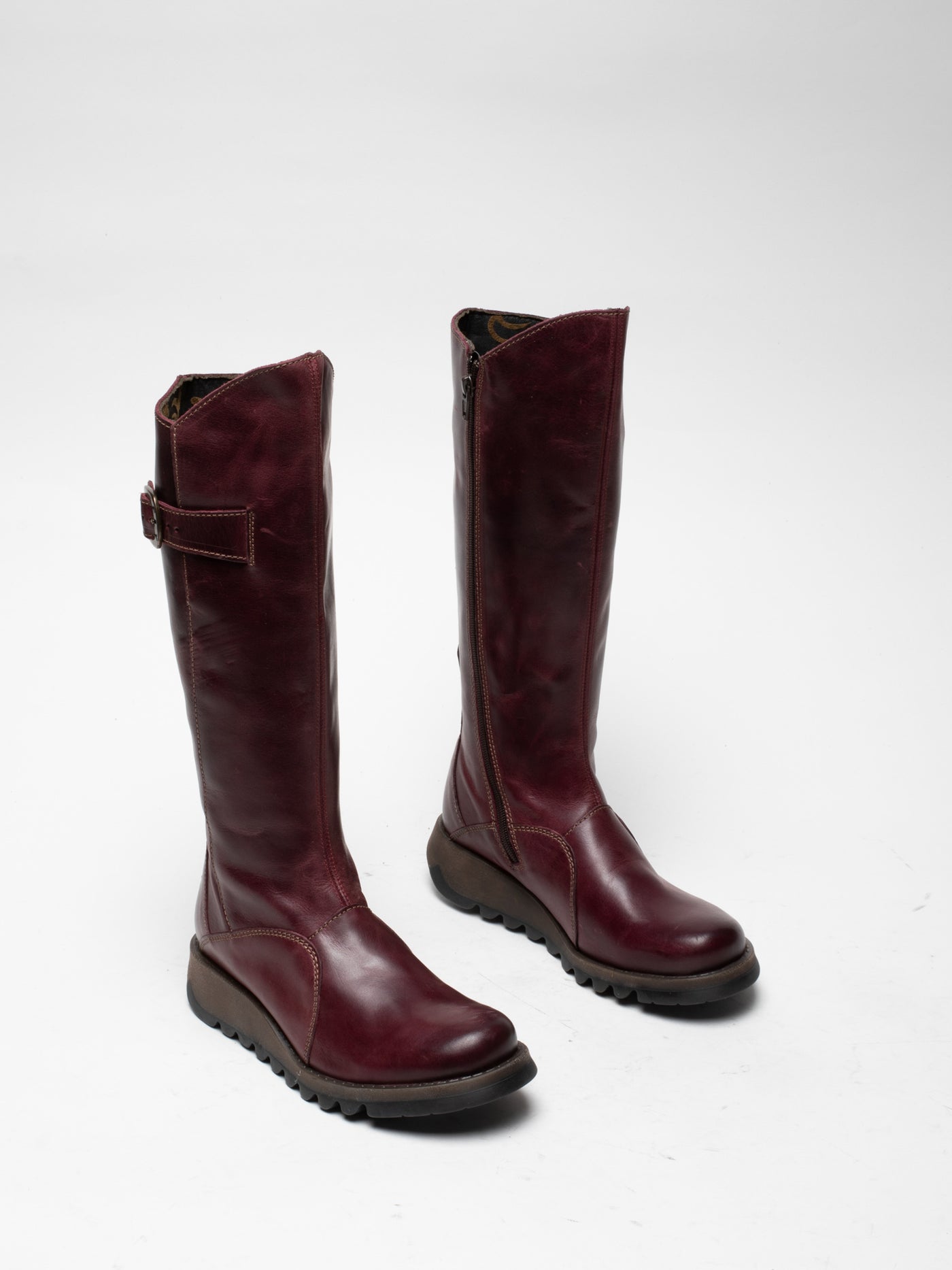 Rug Purple Fly London Zip Up MOL 2 Women's Boots | 629085ZWN